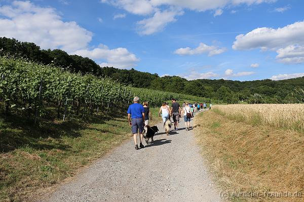 goslar_KZG_Grillwochenende_IMG_4598.JPG