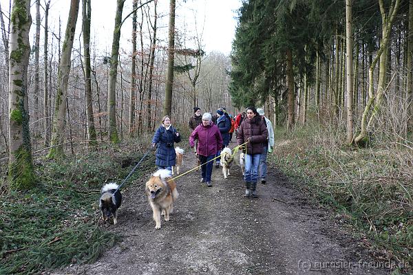 foto_goslar_koengen_04.02.2018_IMG_6280.JPG