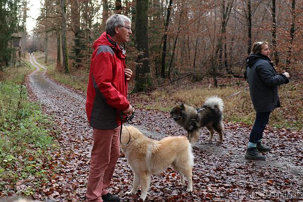 sulzbachtal_12-01-2018_14-43-43_IMG_2546.JPG