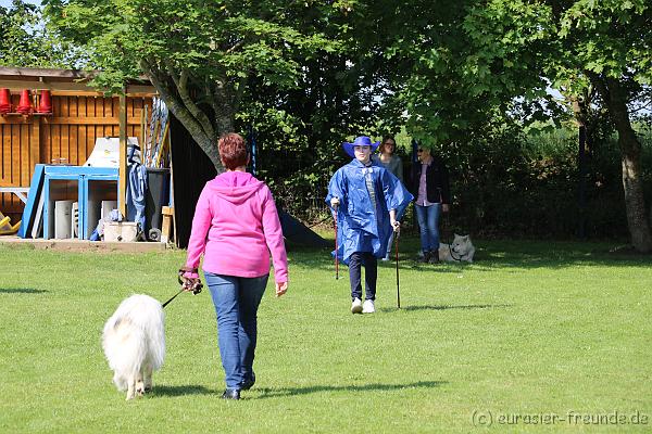 Foto_Goslar_Gaeufelden_2019-05-26_IMG_3546.JPG