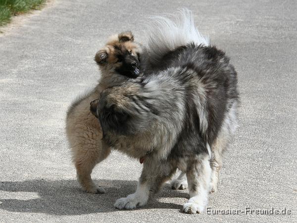 album02_bild_21_IMG_9524.JPG - ... lsst sie mich sogar gewinnen!