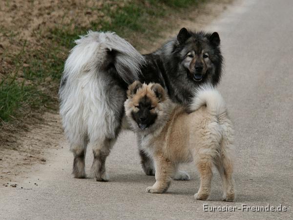 album02_bild_28_IMG_9937.JPG - Aber es dauert nicht lange, ...